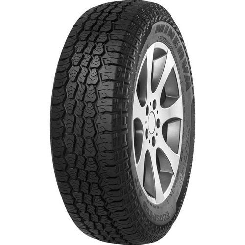 Foto pneumatico: MINERVA, ecospeed at 215/70 R1616 100H Estive