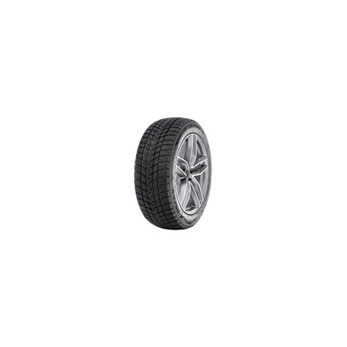 Foto pneumatico: RADAR, DIMAX ALPINE 205/55 R1616 91H Invernali