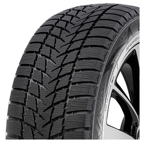 Foto pneumatico: RADAR, DIMAX ALPINE XL 205/55 R1616 94H Invernali