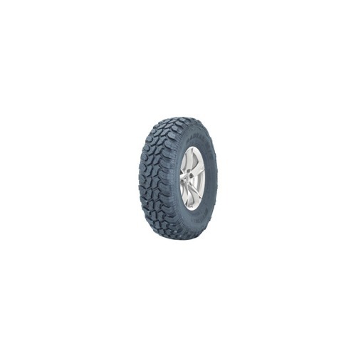 Foto pneumatico: WESTLAKE, SL 366 10PR M+S 245/70 R1717 119Q Estive